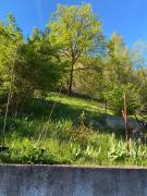 Top Sauveterre-la-Lémance