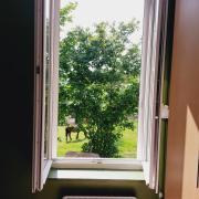 Domaine Fontcouverte