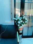 happy home