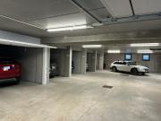 Top Tirano Top Tirano