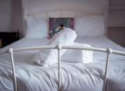 Dundee themed apartment with free parking