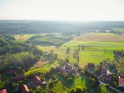 Top Wilczęta Top Wilczęta