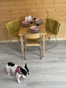 Schicke Ferien- und Monteurswohnung 53 qm Philippsburg