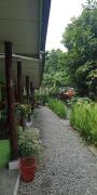 Top Bukit Lawang Top Bukit Lawang