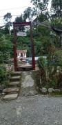Top Bukit Lawang
