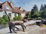 Grand Appartement 82m2 Quartier historique Pasteur