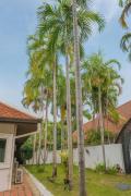 Top Nong Prue
