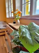 Top Wałbrzych Top Wałbrzych