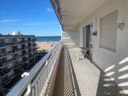 Gandia Cisne