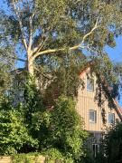 Beautiful vacation home with a view of the Baltic Sea