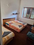 Top Bzince pod Javorinou