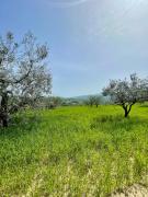 Top Montorio al Vomano