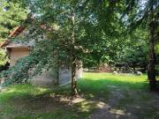 Top Białowieża Top Białowieża