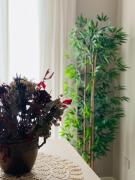 La Bella Modena Giardini Appartamenti