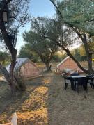 Bonaparte camp Bonaparte camp