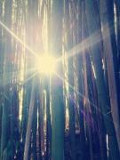 Top Saint-Maixent-lʼÉcole