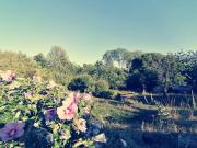 Top Saint-Maixent-lʼÉcole