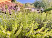 Top Marina di Camerota