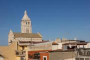 Top Barletta