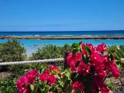 Apto Beira Mar-Muro Alto-Porto de Galinhas-Polin
