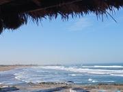 Top Casablanca