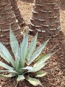 Top Saint-Laurent-des-Combes