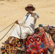 شقق و ايجار سيارات فندق فاميلي