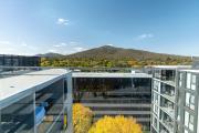 Top Braddon
