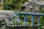 Top Wuxi