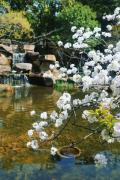 Top Wuxi