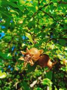 CASA Vacanze Brezza Marina Piras Maria Cristiana