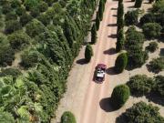 Finca Son Miranda