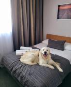 Top Poznań Top Poznań