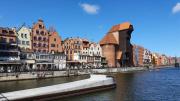 Top Gdańsk Top Gdańsk