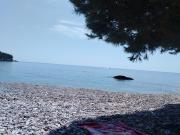 Top Sutomore