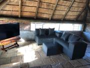 Doringdraad Lodge Nala and Zazu