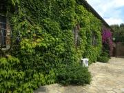 Top Castiglione della Pescaia