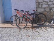 Top Amisianá Top Amisianá