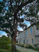 Top Queyrac