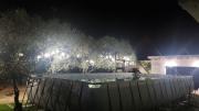 Top Zadar