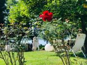 Top Radolfzell am Bodensee