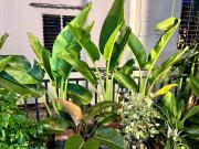 Top Ấp Bình Hưng