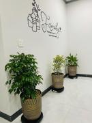 Top Ấp Bình Hưng