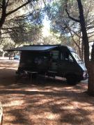 Top Amadora Top Amadora