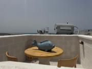 Top Conil de la Frontera