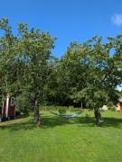Ferienhaus in Borghamn, Vättern