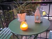 Top Chioggia Top Chioggia