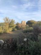 Top Tourves Top Tourves