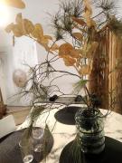 T1 cœur de Toulon idéal entre le port et la gare