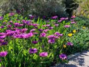 No stairs, Big House, Garage Richmond Residence 1